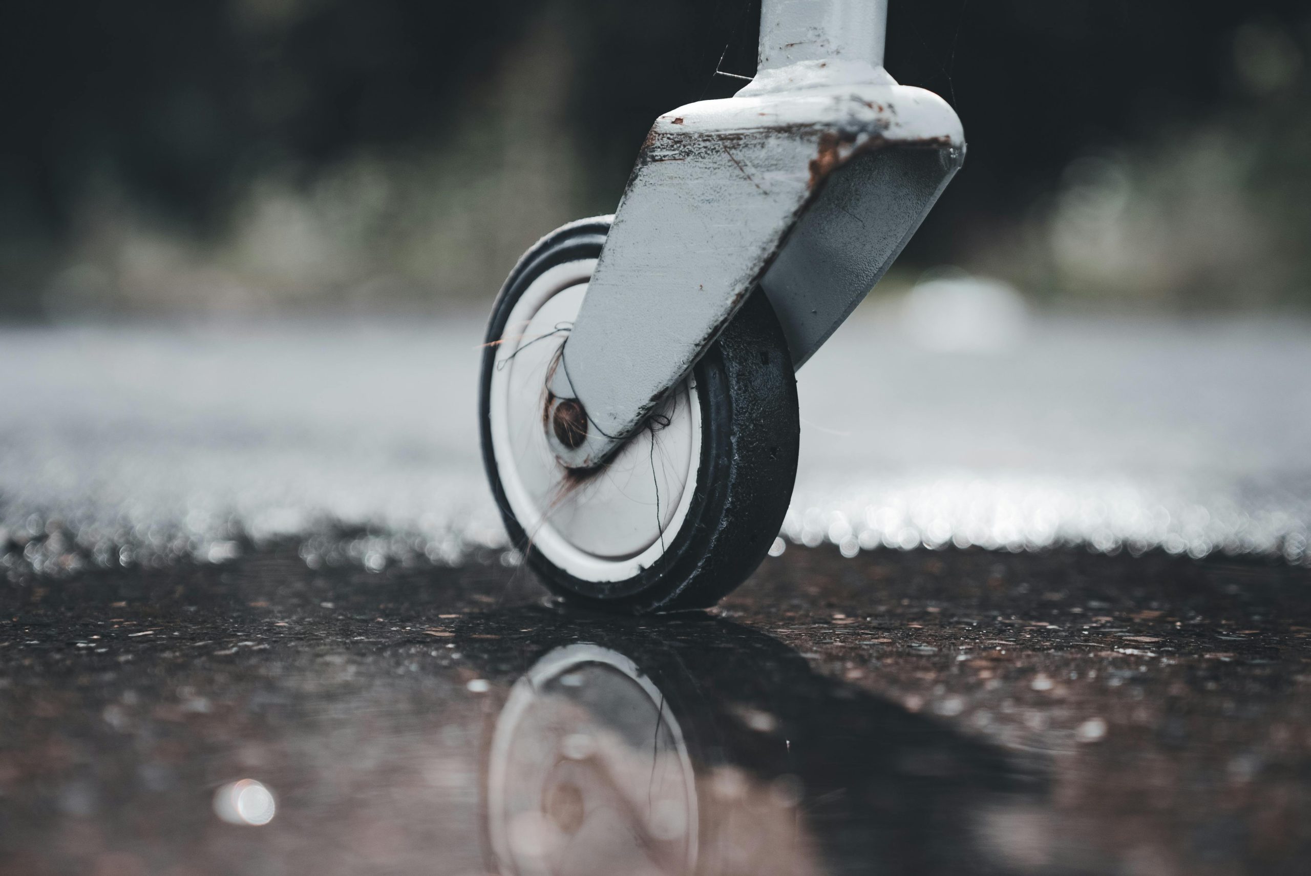 Un aperçu détaillé d'une roue de castor reflétée dans une flaque sur une surface mouillée, capturant la texture et le mouvement.
