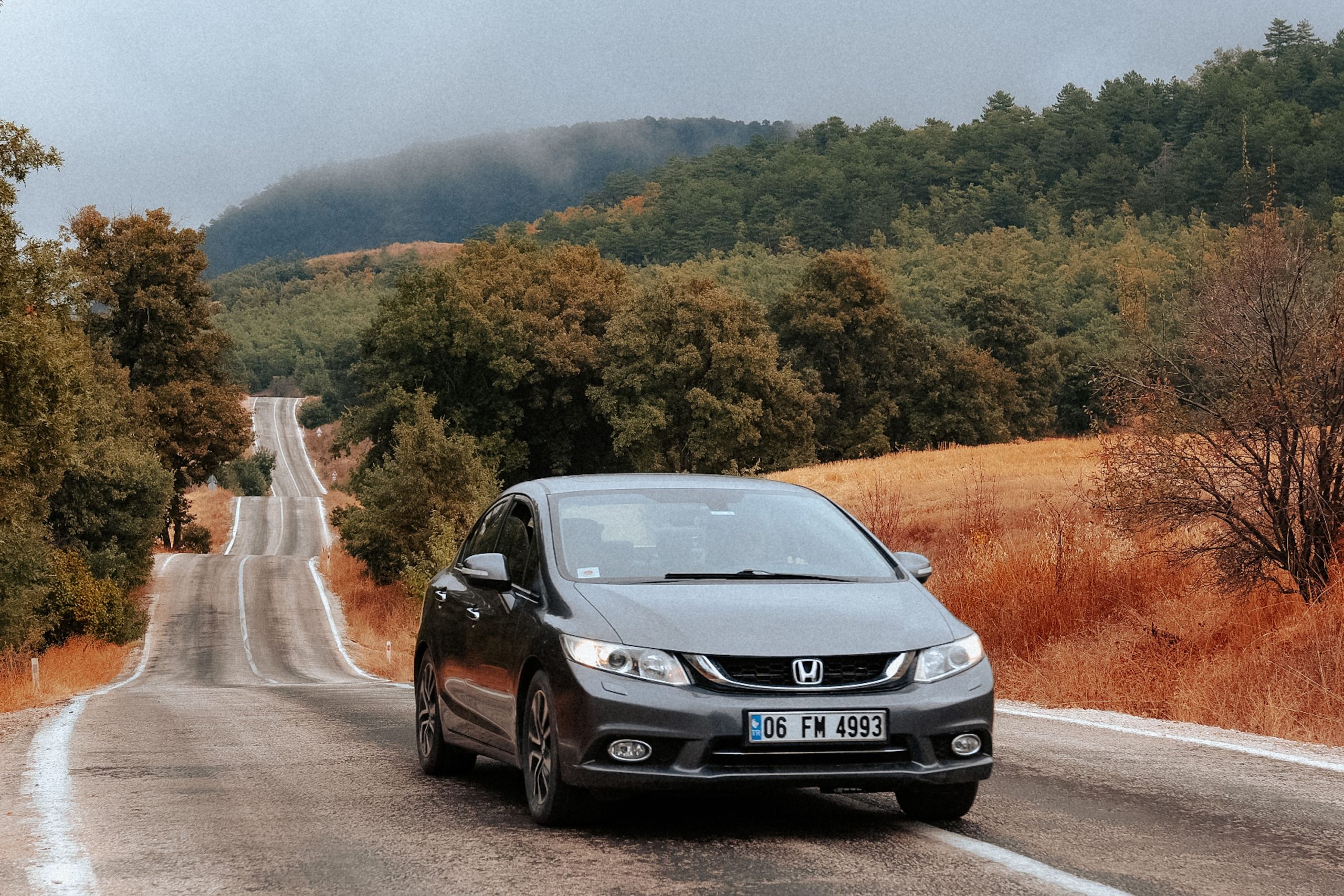 Tarif réel du permis B96
