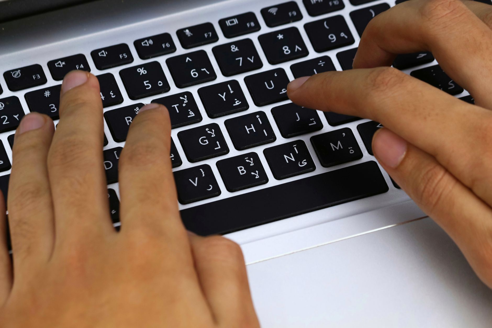 Saisie du numéro d'immatriculation en ligne